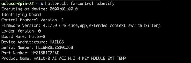 hailortcliでの動作確認